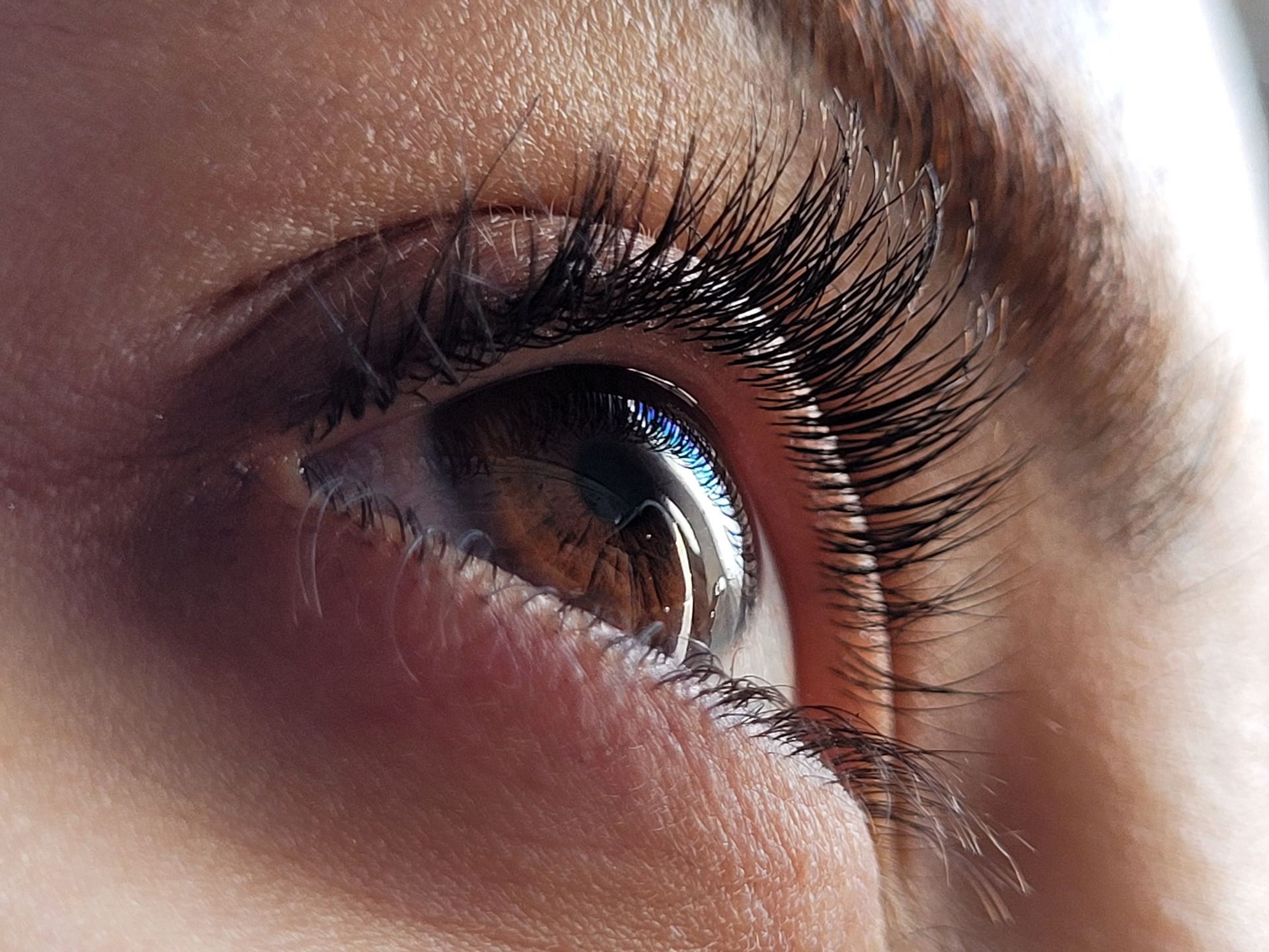 Detailed macro shot of a human eye showcasing the iris and long eyelashes.